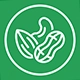 Nuts Color Sorter