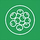 Pulses Color Sorter