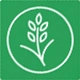 Rice Color Sorter