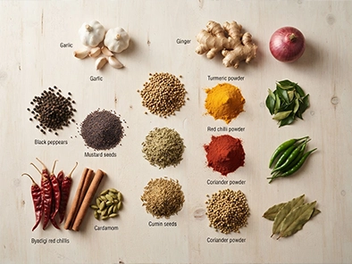 QUBE Color Sorter Machine